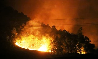 Hơn 30 ha rừng Sóc Sơn hoang tàn sau đám cháy 15 giờ