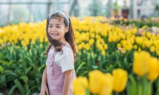 Ra mắt lễ hội Tulip lớn nhất Việt Nam tại Vinpearl Nha Trang 