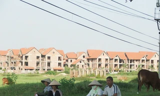 Hàng loạt dự án bất động sản tại huyện Mê Linh - Hà Nội sau khi thu hồi của dân đã bị bỏ hoang nhiều năm Ảnh: Minh Tuấn