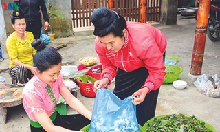 Phụ nữ người Thái hái hoa ban để trữ cho mùa sau