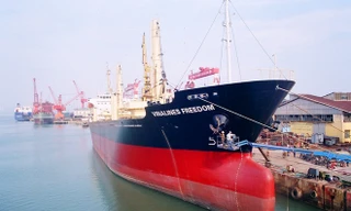 Vinalines là một trong những DNNN có thương vụ IPO không thành công. Ảnh: Minh Châu