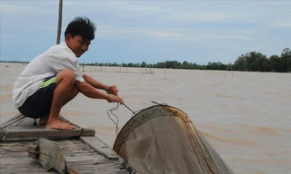 Mưu sinh ở hạ nguồn sông Mekong thuộc ĐBSCL của Việt Nam. Ảnh: Cảnh Kỳ