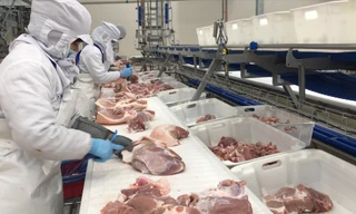 Lãnh đạo Bộ NN&PTNT cho biết sẽ thanh tra về giá thịt lợn tại một số DN Ảnh: Bình Phương