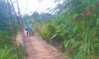 Người dân liều mình chở nông sản qua cầu Xuân Đạt 