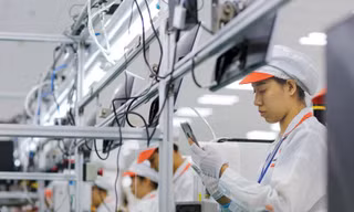 Cải cách để lớn mạnh
