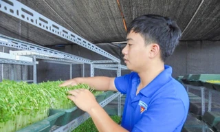 Bí thư Đoàn phường Nguyễn Văn Tiến bên cơ sở trồng rau mầm của mình Ảnh: N.T 