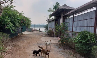 Con đường tự phát mọc trên địa bàn quận Long Biên Ảnh: M.Đ