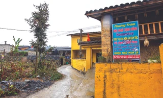 Homestay và các dịch vụ du lịch khác