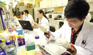 Hoạt động nghiên cứu khoa học tại một trường ÐH ở Việt Nam . Ảnh: Tú Bảo