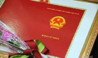 Đề nghị xem lại việc cấp bằng cử nhân thay kỹ sư