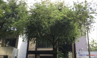 Một phần đất của dân giờ là trụ sở Cty CP Xây dựng Bắc Nam 79