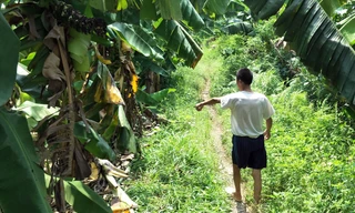 Khu vực xảy ra sự việc Ảnh: T.H