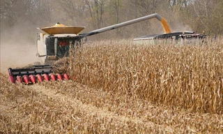 Ngô được thu hoạch từ một cánh đồng ở Hodgen Farm ở Roachdale, Indiana, Mỹ ngày 29/10/2019Ảnh: REUTERS