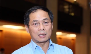 Thứ trưởng Bộ Ngoại giao Bùi Thanh Sơn