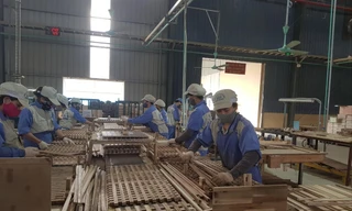 Ngành gỗ vẫn đặt mục tiêu xuất khẩu đạt 12 tỷ USD năm 2020Ảnh: Bình Phương 