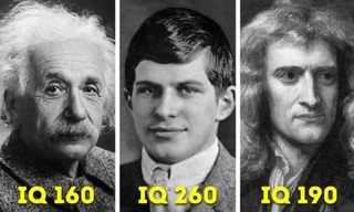 Thiên tài nào từng từ chối lời mời làm tổng thống Israel?