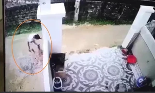 Hiện trường vụ tai nạn. Ảnh cắt từ clip