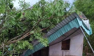 20 phút dông lốc cuốn bay nhiều nhà cửa, hoa màu ở Nghệ An