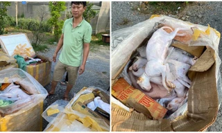 Số động vật đã qua sơ chế, bốc mùi hôi thối bị cơ quan công an phát hiện, bắt giữ