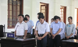 Phạt tù nhóm cán bộ quản lý rừng lập hồ sơ khống, 'bòn rút' hơn 5 tỉ đồng