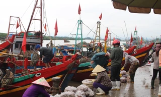 Cảng cá Lạch Vạn (thuộc xã Diễn Ngọc, huyện Diễn Châu, Nghệ An), nơi đây có hàng trăm người tập trung về để buôn bán, trao đổi hải sản mỗi ngày.