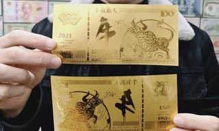 Săn tiền 'trâu vàng' tài lộc độc lạ chơi Tết Tân Sửu