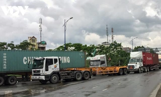 Vận chuyển nông sản phía Nam gặp khó vì thiếu tài xế container.