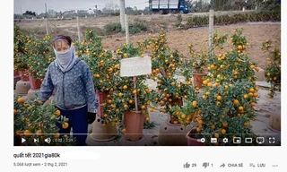 Tiểu thương đua nhau livestream rao bán cây lạ, hoa đẹp 