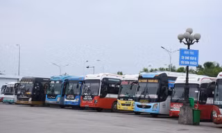 Từ ngày mai, các đơn vị vận tải hành khách được lựa chọn giờ xuất bến.