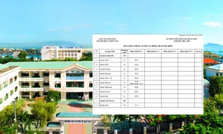 Bình Định công bố điểm chuẩn tuyển sinh vào lớp 10: 5 điểm vẫn đậu "gây sốc"