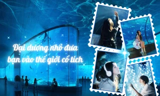 Bật mí góc "sống ảo" cực đẹp ở thủy cung, giới trẻ như lạc vào thế giới cổ tích