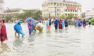 Nước lũ dâng cao, người dân Hà Tĩnh mang nơm ra đường bắt cá