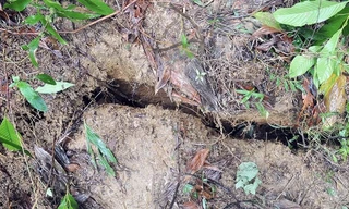 Xuất hiện vết nứt hàng chục mét trên núi, sơ tán khẩn cấp toàn bộ dân một thôn