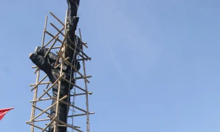 Cả làng góp tiền cứu 'cụ gạo' hơn 200 tuổi ở xứ Nghệ