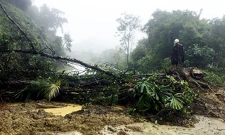 Núi cao 15m sạt lở, đất đá chắn ngang trên QL8A đường lên Cửa khẩu Cầu Treo