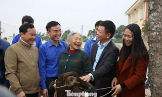 Tập đoàn Phúc Sơn, Báo Tiền Phong trao bò giống hỗ trợ bà con vùng lũ Hà Tĩnh