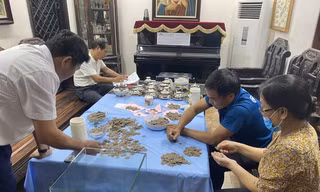 Đào móng nhà phát hiện 'kho' xu cổ: Tiền có từ đời vua nào?