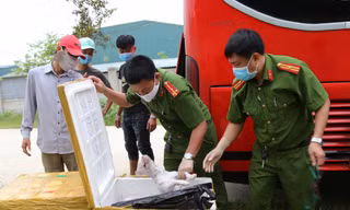 Xe giường nằm chở 2,4 tấn thịt chó, mèo và nội tạng động vật bốc mùi