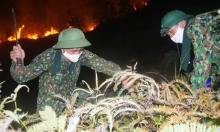 Công an, bộ đội trắng đêm căng mình dập lửa cứu rừng