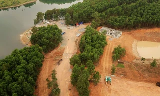 Xẻ đất rừng xây khu sinh thái 'chui': Chi cục Kiểm lâm Hà Tĩnh nói gì?