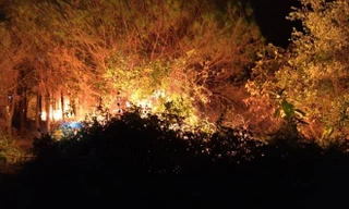 200 người vật lộn nhiều giờ cứu rừng thông, cao su bị giặc lửa tấn công