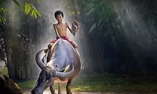 Quê hương đẹp đến lạ thường