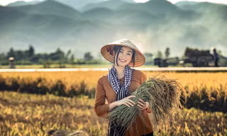 Hoa khôi Tài chính xinh đẹp khi hóa thân thành nông dân trên cánh đồng Mường Thanh