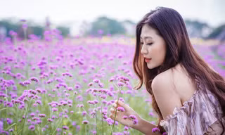 "Check-in" cánh đồng hoa "hot" nhất Thủ đô