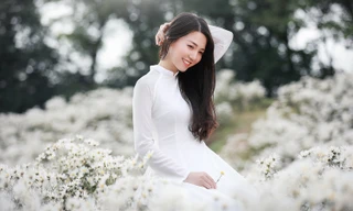 Cô nàng 9X Hà Nội tinh khôi bên cúc hoạ mi