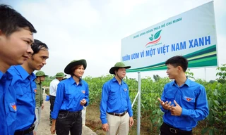 Triển khai mô hình “Vườn ươm Vì một Việt Nam xanh“