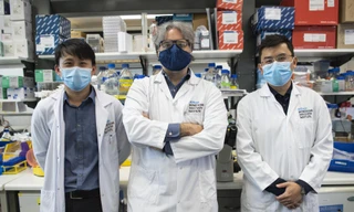 Lần đầu tiên mô hình bào thai người được tạo nên từ tế bào da