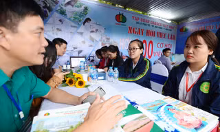 Điểm sàn ngành Sư phạm cao hơn năm ngoái 0,5 điểm
