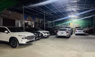 Dịch vụ thuê xe tự lái hút khách dịp Tết