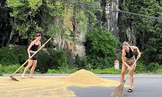 Du khách nước ngoài nhận "bão tim" khi giúp người dân "chạy lúa" tại Ninh Bình